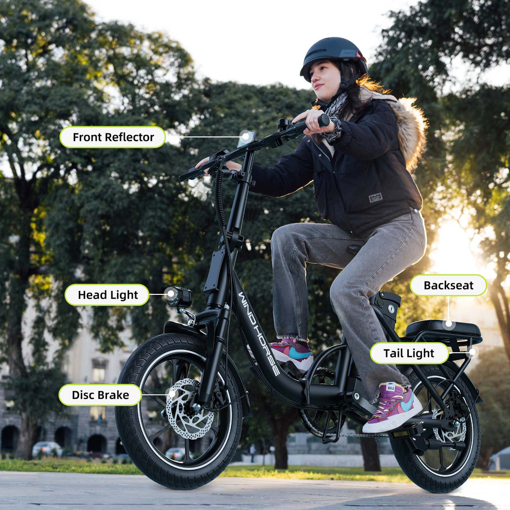 Windhorse W2B
